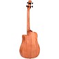 Gold Tone 25" Scale Fretless Acoustic-Electric MicroBass Natural