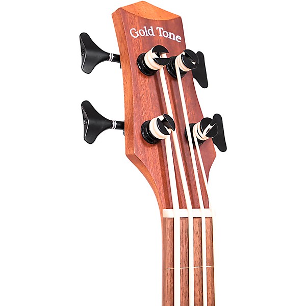 Gold Tone 25" Scale Fretless Acoustic-Electric MicroBass Natural