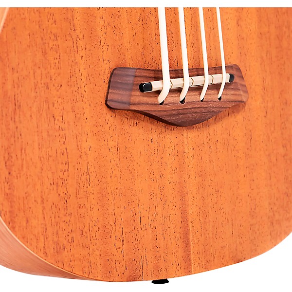 Open Box Gold Tone 23" Scale Fretless Acoustic-Electric MicroBass Level 1 Natural