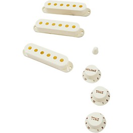 Fender Pure Vintage '60s Stratocaster Accessory Kit