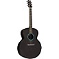 RainSong JM1000N2 Jumbo Acoustic-Electric Guitar Black