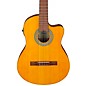 Ibanez GA3ECE Cutaway Acoustic-Electric Guitar Amber thumbnail