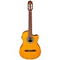 Ibanez GA3ECE Cutaway Acoustic-Electric Guitar Amber