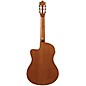 Ibanez GA3ECE Cutaway Acoustic-Electric Guitar Amber