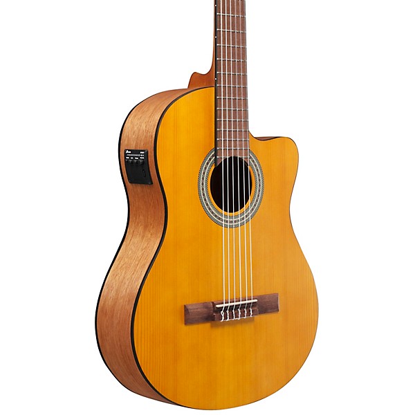 Ibanez GA3ECE Cutaway Acoustic-Electric Guitar Amber