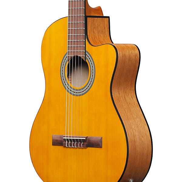 Ibanez GA3ECE Cutaway Acoustic-Electric Guitar Amber