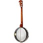 Rover RB-20T 4-String Tenor Banjo