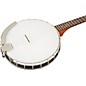 Rover RB-20T 4-String Tenor Banjo