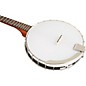 Rover RB-20T 4-String Tenor Banjo