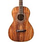 Open Box Washburn WP55 Parlor Koa Acoustic Guitar Level 1 Satin Natural thumbnail