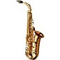 Yanagisawa WO20 Series Alto Saxophone Bronze thumbnail