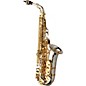 Yanagisawa WO37 Series Alto Saxophone Sterling Silver thumbnail