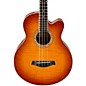 Open Box Ibanez AEB20E Acoustic-Electric Bass Guitar Level 1 Gloss Vintage Violin thumbnail