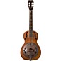 Open Box Washburn R360K Parlor Resonator Guitar with 1930's Style Inlay Level 2 Vintage 190839244680