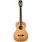 Washburn WP5234S Parlor Acoustic Guitar with Gold Leaf Design Satin Natural