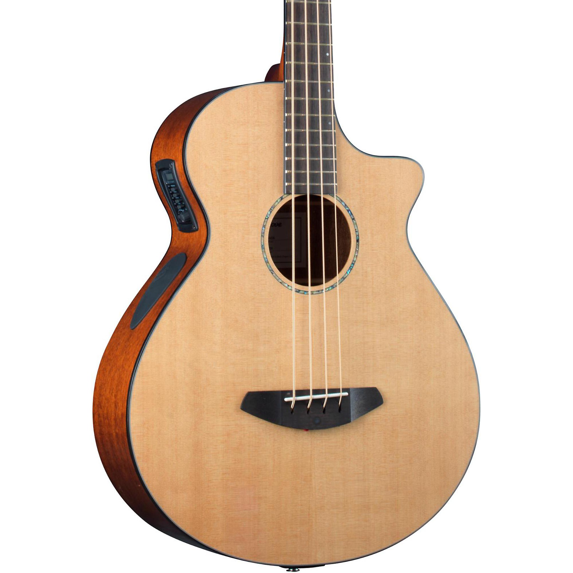 breedlove solo bass