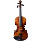 Open Box The Realist RV5Pe Pro E-Series Frantique 5-String Violin Level 1 thumbnail
