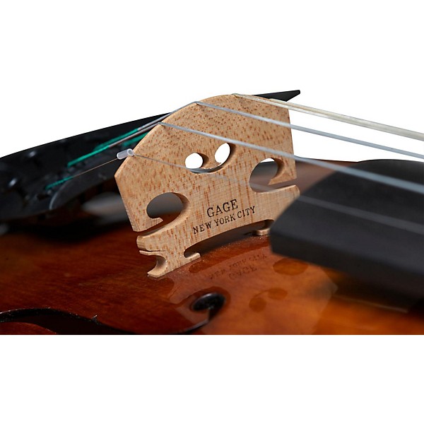 Open Box The Realist RV5Pe Pro E-Series Frantique 5-String Violin Level 1