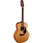 Open Box Takamine GN10-NS NEX Acoustic Guitar Level 2 Natural 190839083845