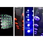 CHAUVET Professional Nexus Aq 5x5 (4 -Pack) thumbnail