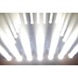 CHAUVET Professional Nexus Aw 7x7 (4 pack)