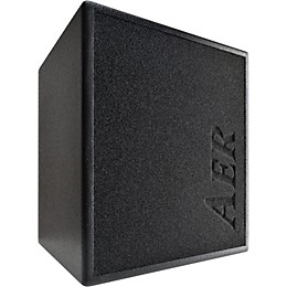 AER MM200 Monte Montgomery 2x8 200W Acoustic Combo Amp