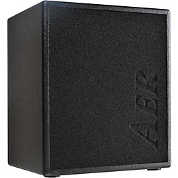 AER MM200 Monte Montgomery 2x8 200W Acoustic Combo Amp