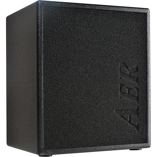 AER MM200 Monte Montgomery 2x8 200W Acoustic Combo Amp