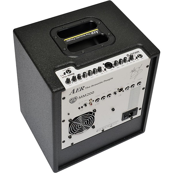 AER MM200 Monte Montgomery 2x8 200W Acoustic Combo Amp
