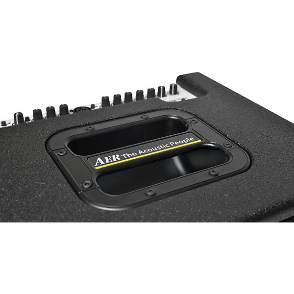 AER MM200 Monte Montgomery 2x8 200W Acoustic Combo Amp