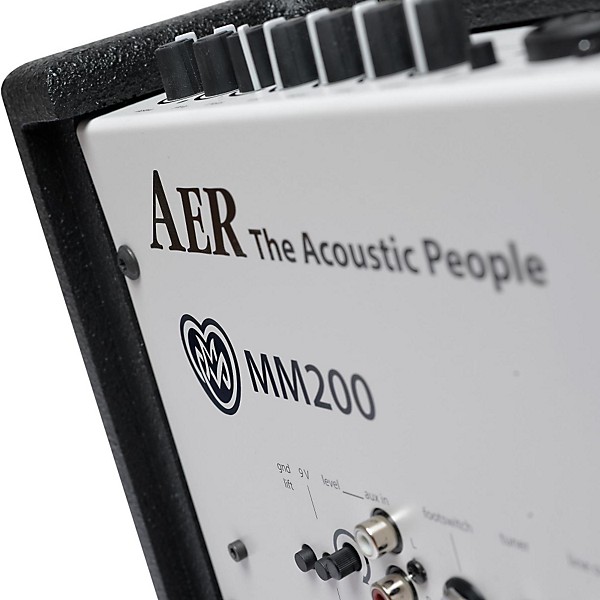 AER MM200 Monte Montgomery 2x8 200W Acoustic Combo Amp