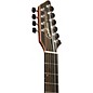 Godin A10 10-String Acoustic-Electric Guitar Natural