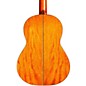 Open Box Cordoba C9 Parlor Nylon String Acoustic Guitar Level 1 Natural