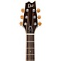 Open Box ESP LTD TL-6 Thinline Acoustic-Electric Guitar Level 2 Black 888365985473