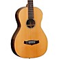 Tanglewood Java Series TWJP 12 Parlor Acoustic Guitar Natural thumbnail