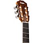 Taylor 400 Series 414ce-N Grand Auditorium Nylon String Acoustic-Electric Guitar Natural