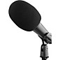 Proline PLWS1 Microphone Windscreen Single windscreen Black thumbnail
