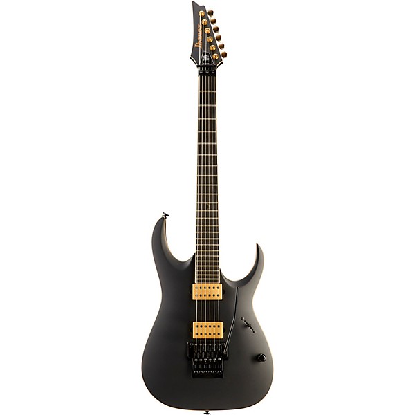 100%正規品 Gray Ibanez | Center Guitar ギター