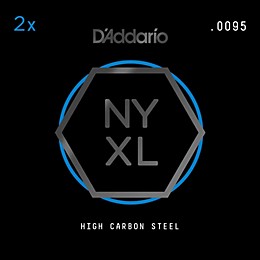 D'Addario NYPL0095 Plain Steel Guitar Strings 2-Pack, .0095