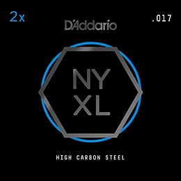 D'Addario NYPL017 Plain Steel Guitar Strings 2-Pack, .017
