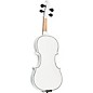 Rozanna's Violins Snowflake Series Violin Outfit 3/4 Size