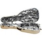 Open Box Hiscox Cases Lifeflite Artist Acoustic Guitar Case - Ivory Shell/Silver Interior Level 1 thumbnail