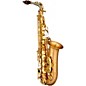 P. Mauriat Le Bravo 200A Intermediate Matte Finish Alto Saxophone Kit
