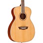 Open Box Washburn WF110DL Folk Acoustic Guitar Level 1 Natural thumbnail
