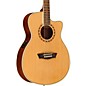 Open Box Washburn WF19CE Mahogany Folk Acoustic-Electric Guitar Level 2 Natural 888365998053 thumbnail