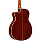 Open Box Washburn WF19CE Mahogany Folk Acoustic-Electric Guitar Level 2 Natural 888365998053