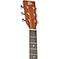 Rogue RA-090 Concert Cutaway Acoustic-Electric Guitar Mahogany