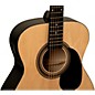 Rogue RA-090 Concert Acoustic-Electric Guitar Natural