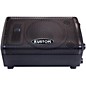 Kustom PA KPX115 15" Speaker with PA2400 10" Monitor Package