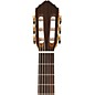 Open Box Lucero LFB250Sce Spruce/Cypress Thinline Acoustic-Electric Classical Guitar Level 2 Natural 197881060718